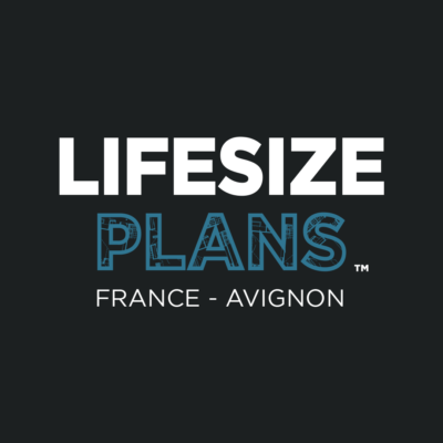 Lifesize Plans Avignon