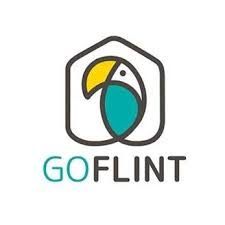 GoFlint